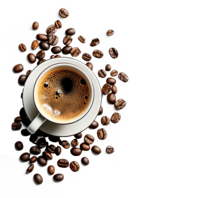 PRAKRUTI CAFÉ – FLAVORS OF LOVE, SERVED FRESH!